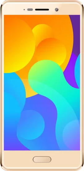 Micromax Canvas 2 Q4310