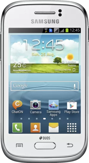 Samsung Galaxy Young Duos