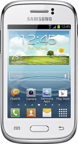Samsung Galaxy Young
